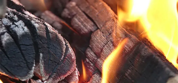  Burnt logs have become coal after burning 
