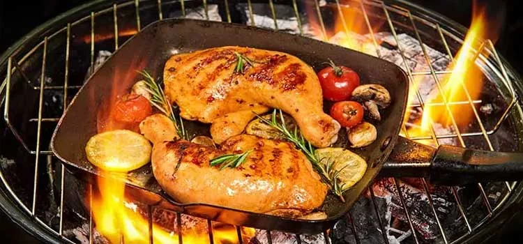 https://studyplex.org/blog/wp-content/uploads/2022/07/Can-You-Reheat-Chicken_5.webp