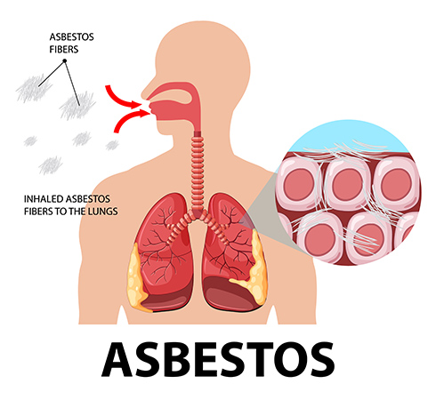 3 Types of Asbestos Training 