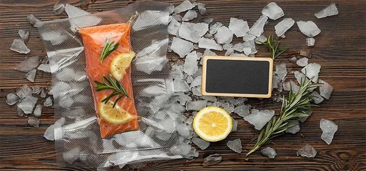 packaged salmon fish in ice with lemon and herbs 