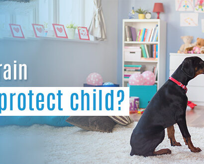 How To Train Dog To Protect Child