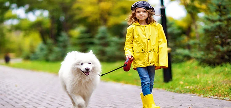 how-to-train-dog-to-protect-child-blog-studyplex