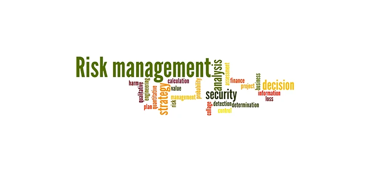 Close-up of risk management word cloud