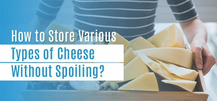 https://studyplex.org/blog/wp-content/uploads/2023/05/Woman-holding-cheese-slices.webp