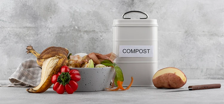 Arrangement of compost made of rotten food 