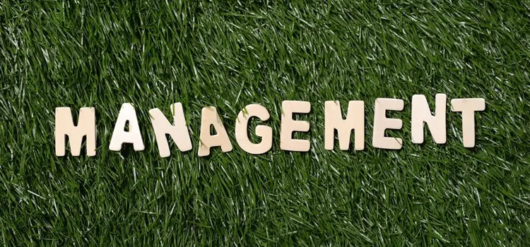 Close-up of Management wooden sign on grass