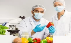 Food Safety Training Course Online