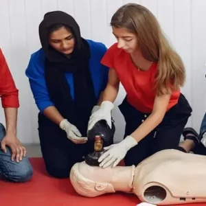 Canine First Aid Diploma